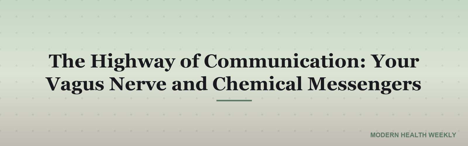 The Highway of Communication: Your Vagus Nerve and Chemical Messengers