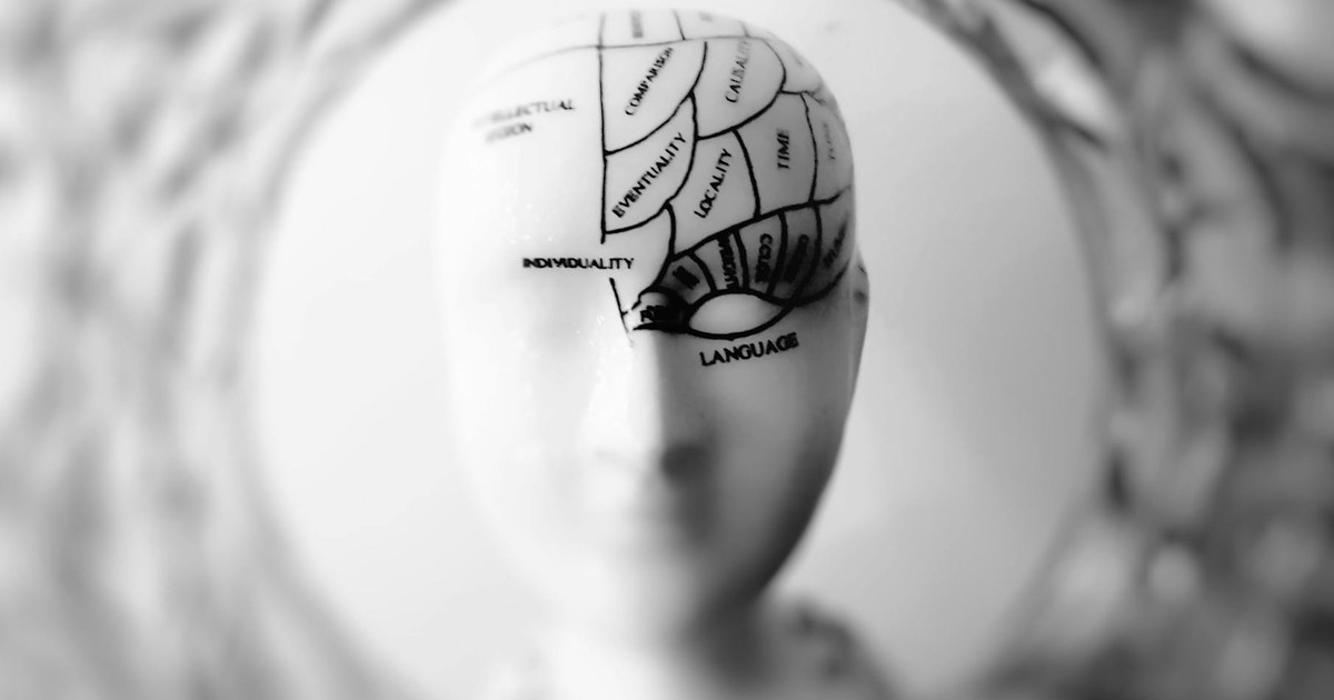 Scientists Discover Hidden Brain Drainage System That Could Transform Neurological Health