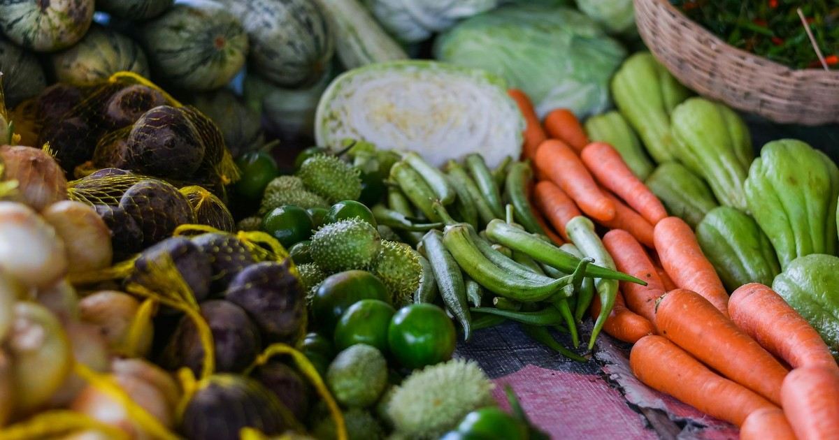 Navigating High-Protein, Low-Carb Diets: A Balanced Look at Benefits and Risks