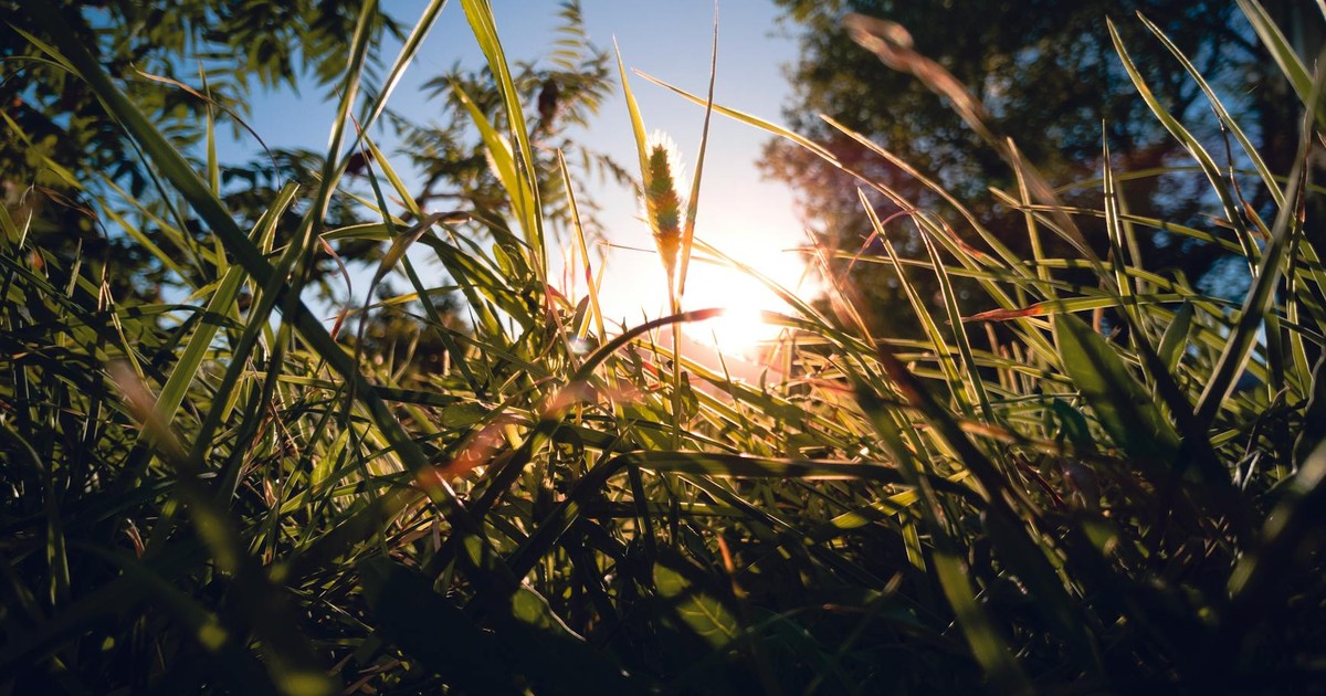 The Sunshine Vitamin: Understanding Vitamin D Deficiency and Its Impact on Your Health