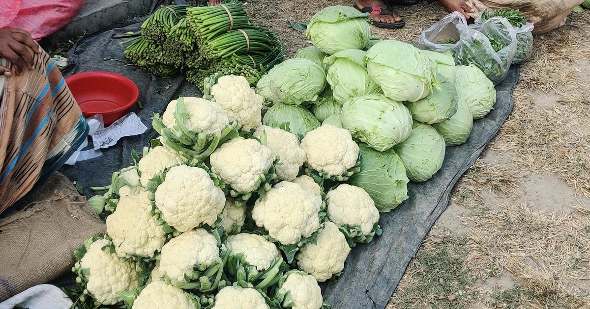 Beyond Vitamins: The Hidden Power of Phytonutrients in Your Diet